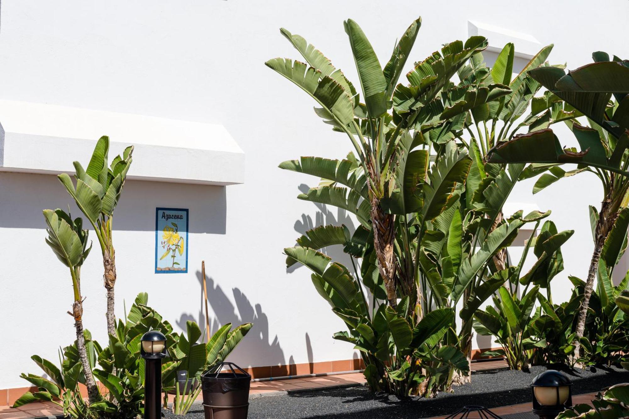 Plus Fariones Apartamentos Puerto del Carmen  Exterior foto